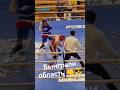 Выиграли первенство Ленинградской области по боксу #бокс #mma #boxing