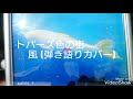 【トパーズ色の街】風(弾き語りカバー)