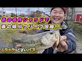 春の柳川クリークをあの名作シャッドで攻略!!in福岡|ムラユウでございバス。村川勇介(1685)