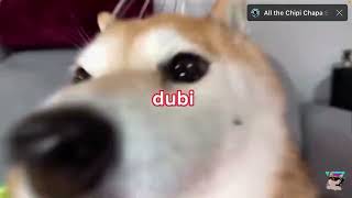 Dubidubi