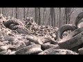 Garner/Brandywine Tire Stockpile Cleanup (2012)