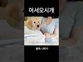 이웃집에서 두고 간 새끼 강아지
