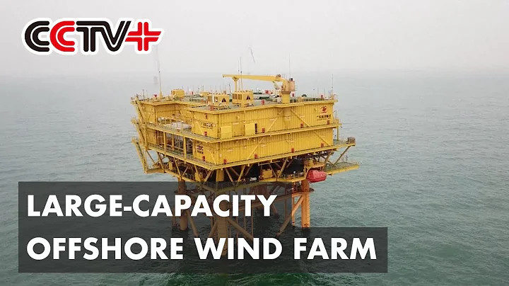 First Large-capacity Offshore Wind Farm Goes into Full Operation for Greater Bay Area - DayDayNews