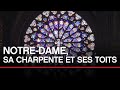 Notre-Dame, sa charpente et ses toits - Toute l'Histoire