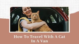 How To Travel With A Cat In A Van? by Traveling With Your Cat 12 views 10 months ago 3 minutes, 28 seconds