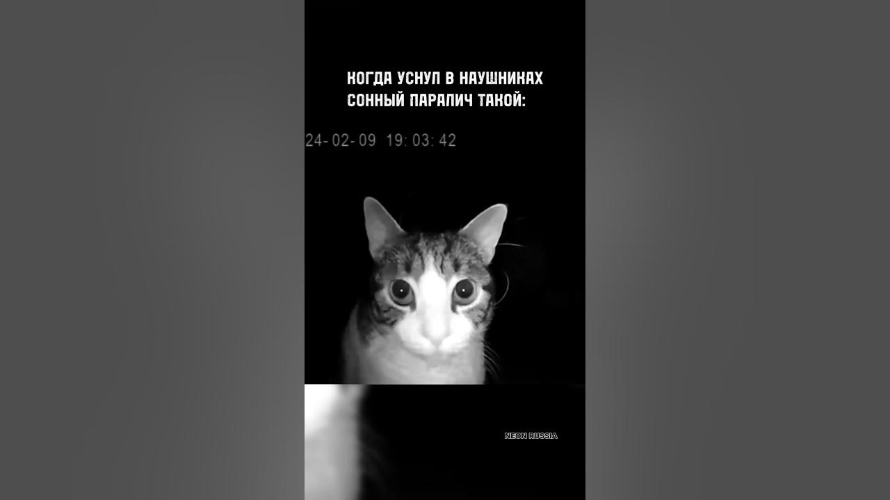 Когда уснул в наушниках / Сонный паралич / Кот смотрит в камеру / МЕМ # ...