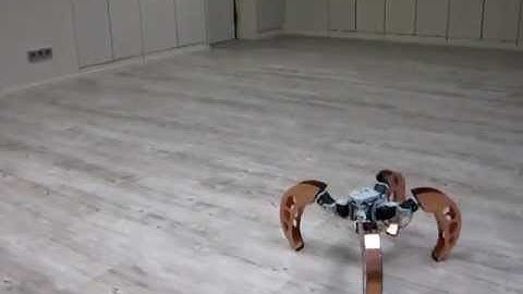 Quadruped with walking and rolling locomotion [BiLBIQ 02 - V 02]