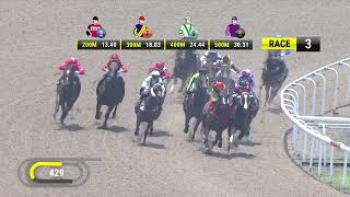 Vidéo de la course PMU PRIX BOLD THRUSTER 2019 STAKES