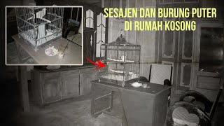 PENAMPAKAN POCONG ASLI‼️ Eksperimen CCTV Bakar Dupa dan Burung Puter di Rumah Kosong [CCTV HOROR]