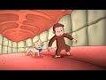 Tiny George | Curious George | Cartoons for Kids | WildBrain Kids