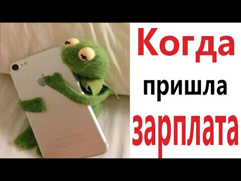 Приколы! КОГДА ПРИШЛА ЗАРПЛАТА - МЕМЫ!!! Смешные видео от – Доми шоу!