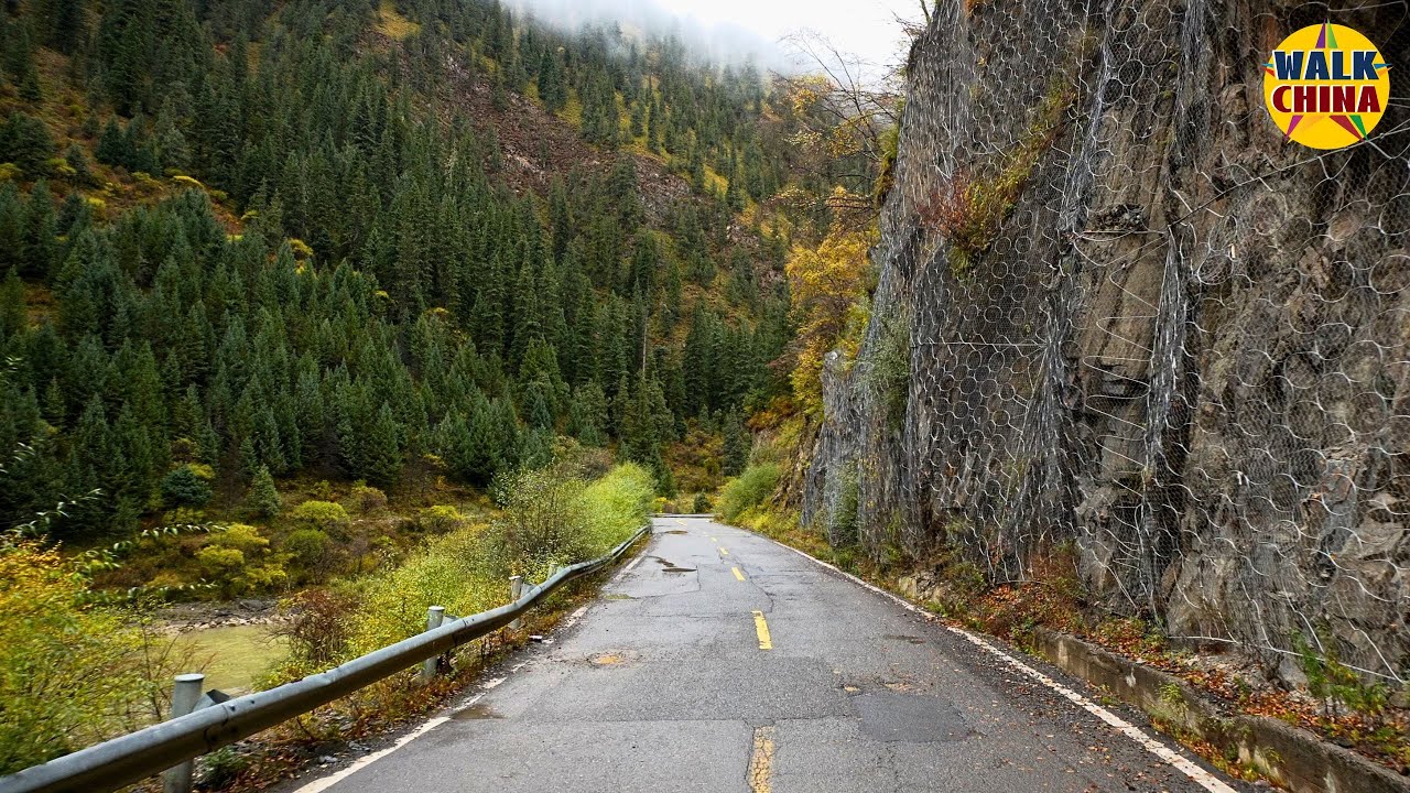 Проезжая по красочным заснеженным лесам: самые красивые осенние пейзажи Тибета (4K HDR)