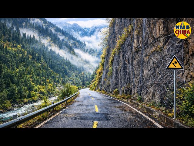 Driving Through Tibetan Autumn Splendor: Colorful Forests Meet