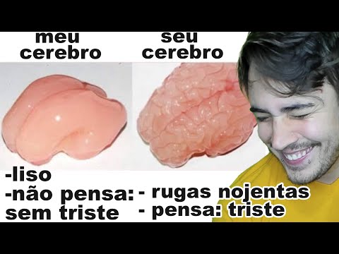 MEMES que deixam seu CEREBRO LISO - Cinema dos MEMES