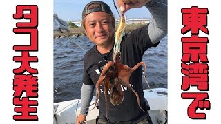 【マダコ船釣り】東京湾でタコタコパニック！65話