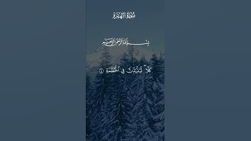 تلاوة هادئة تريح الاعصاب 💚 قران كريم💚  بصوت ماهر المعيقلي سورة الهمزة 💙
