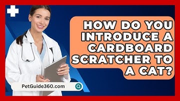 How Do You Introduce A Cardboard Scratcher To A Cat? - PetGuide360.com