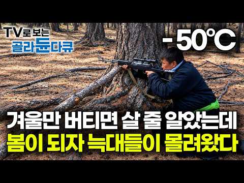 가축 물어뜯는 늑대 떼와 목숨 건 추격전. 영하 50도 설원에서 총을 든 몽골 유목민｜문명도 없는 야생에서 살아남는 법｜몽골 최후의 유목민, 다르하드족｜인류원형탐험｜#골라듄다큐