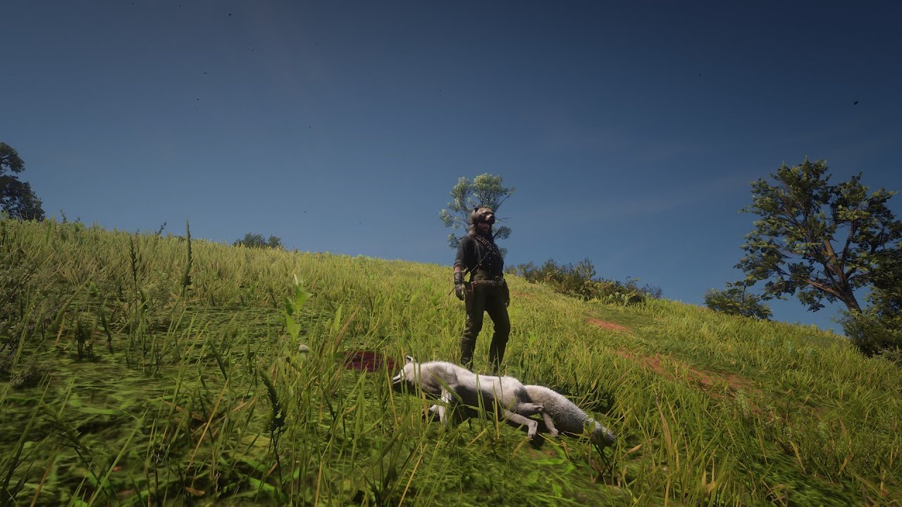 cazando animales legendarios III 🦊 + un poco de exploración | rdr2