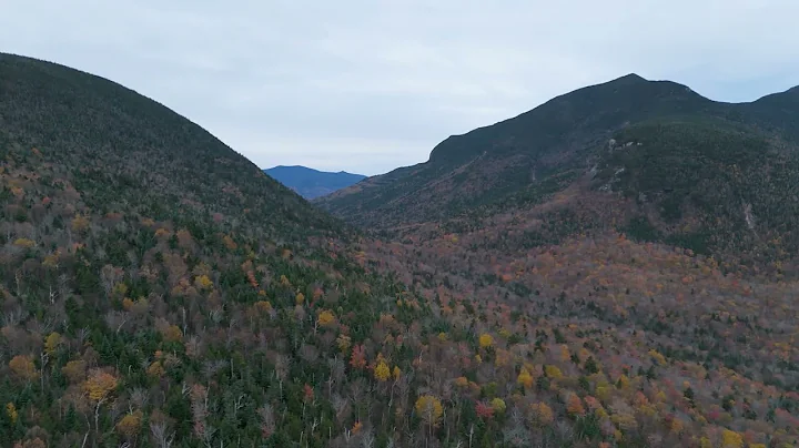 12.3.25 Lauds, Wednesday Morning Prayer of the Liturgy of the Hours