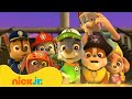 Щенячий патруль | Щенячий патруль находит сокровища пиратов | Nick Jr. Cyrillic