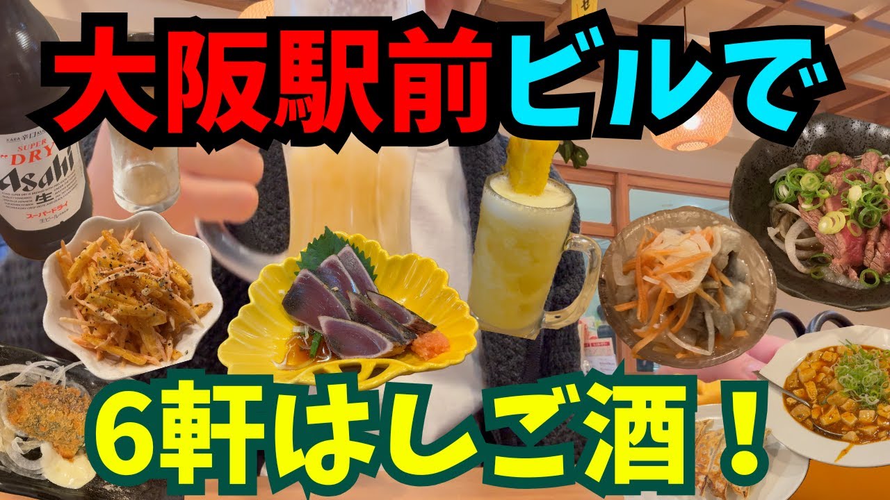 【大阪駅前ビル飲み】6軒はしご酒【独身おじさん】