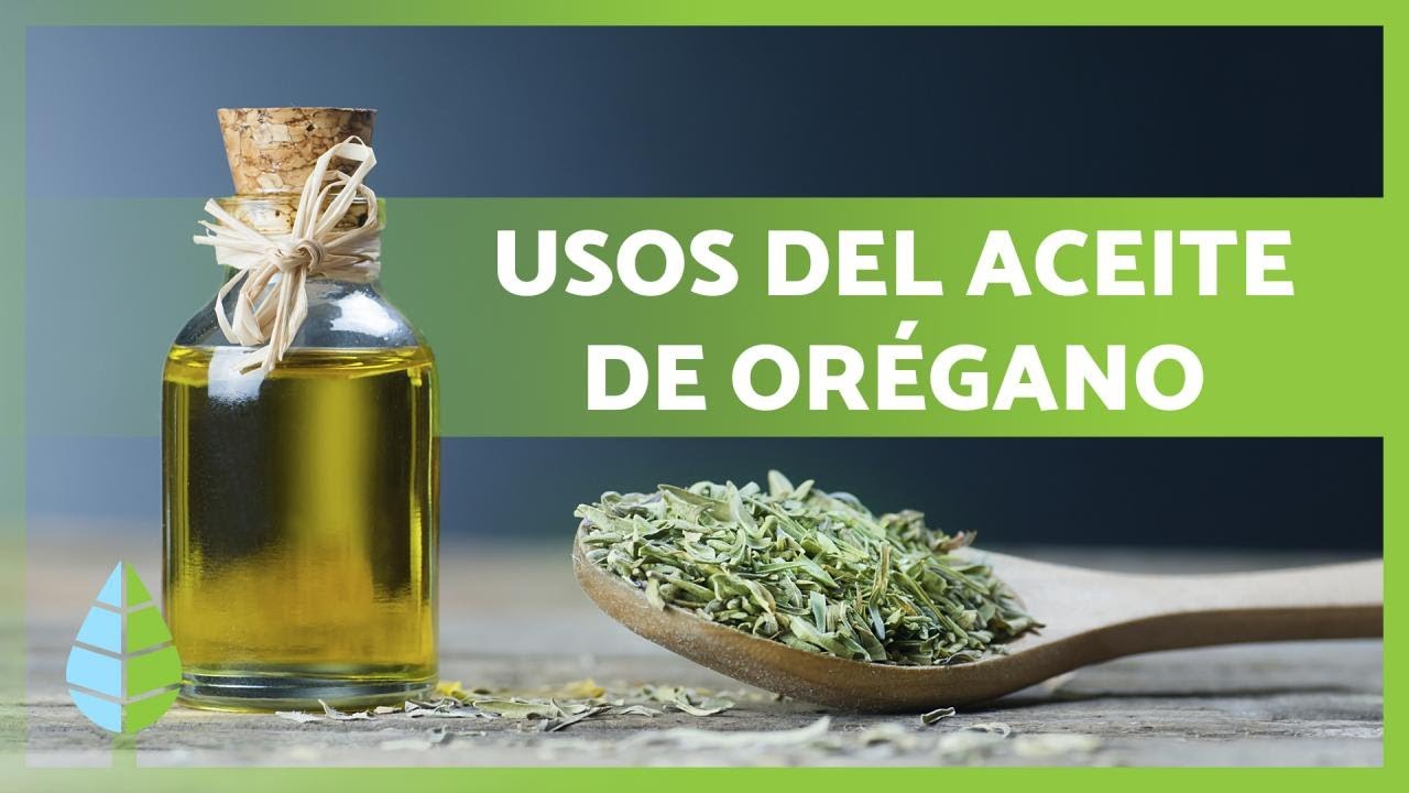 ACEITE de ORÉGANO 🌿 ¡PROPIEDADES, para qué sirve, CÓMO HACERLO y  contraindicaciones! 💚 