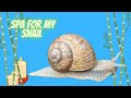 MY BEAUTY - SNAIL MASHA