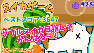 【#スイカゲーム 】そろそろダブルスイカ達成したいなぁ▽・ｘ・▽♪【#vtuber #ゲーム】