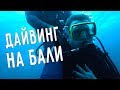 ДАЙВИНГ НА БАЛИ 🏊🏼 СНОРКЛИНГ НА ПЛЯЖЕ ТУЛАМБЕН 🏖️