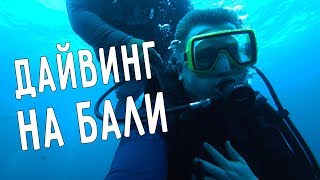 ДАЙВИНГ НА БАЛИ 🏊🏼 СНОРКЛИНГ НА ПЛЯЖЕ ТУЛАМБЕН 🏖️