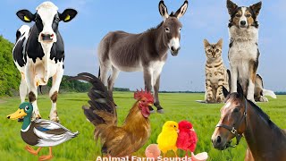 : Explore The Zoo Around Us: Cow, Cat, Horse, Monkey, Pig, Elephant, Goat - Animal Paradise