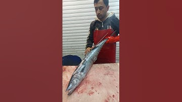 Silce Cut King Mackerel