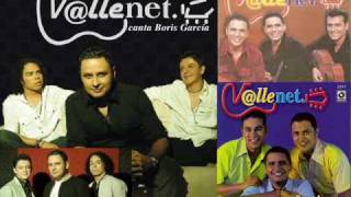 Video thumbnail of "Vallenet - La brasilera"
