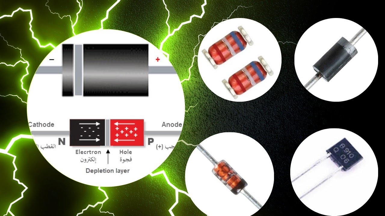 اسرار ومعلومات عن عائلة الدايود لاول مرة