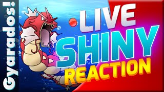 Live Shiny Gyarados Reaction!