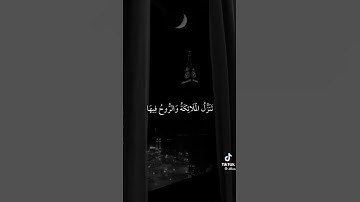 سورة القدر     صوت يريح القلب