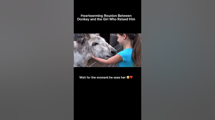 Heartwarming Reunion Between Donkey and the Girl Who Raised Him | #Shorts