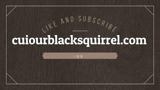 DIY lift top coffee table Brought to you by curiousblacksquirrel.com!!! Enjoy and stay curious humans! small kreg jiig http://amzn.to/2hHdZxu handles ...