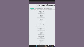 Terrible Cat Name Generator #shorts #funny #catnames #generator #badnames #funnynames #cat #cats