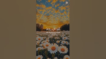 سورة غافر❤️🎧#القرآن_الكريم #القرآن #قرآن #تلاوة_خاشعة #quran #like #subscribe #mydesign #explore