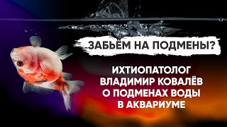 Нужны ли подмены воды в аквариуме?