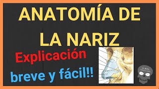 Anatomía de la nariz 👃(EXPLICACIÓN BREVE Y SENCILLA!)
