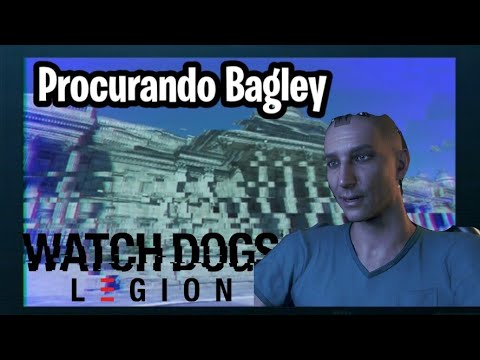 Vídeo: O que são cães de guarda bagley?