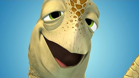 Xturtle gets exposed