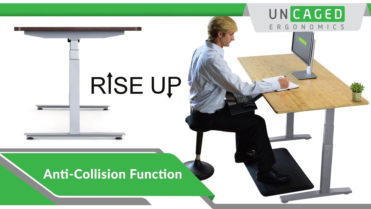 Rise Up Dual Motor Electric Standing Desk Anti Collision Function