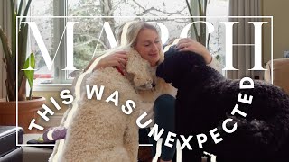 Let&#39;s Catch Up: Wholesome Week, Turn of Events &amp; Ageing Pets | Amanda Weldon