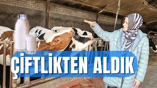 10 LİTRE SÜTLE NELER YAPILIR? | HOLLANDA ÇİFTLİKLERİ #vlog #hollanda #günaydınhollanda