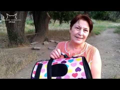 ინვალიდი კნუტის შეფარება (16 აგვისტო, 2015)