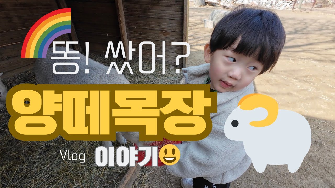 [4K]주말에 뭐하지? 🐑양떼목장 어때!